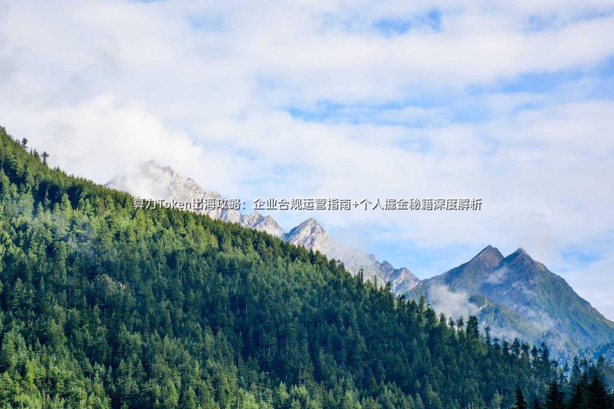 算力Token出海攻略：企业合规运营指南+个人掘金秘籍深度解析