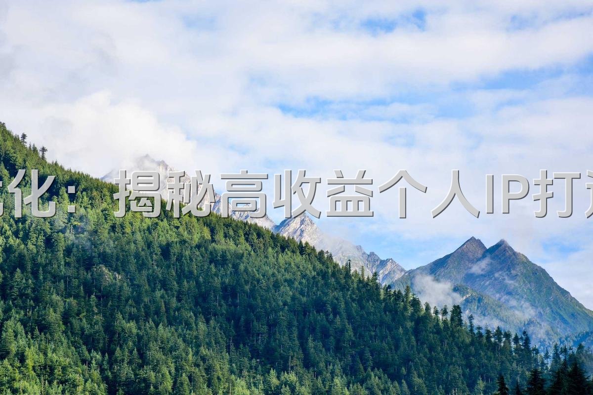 香港短视频SEO优化：揭秘高收益个人IP打造与实战案例解析