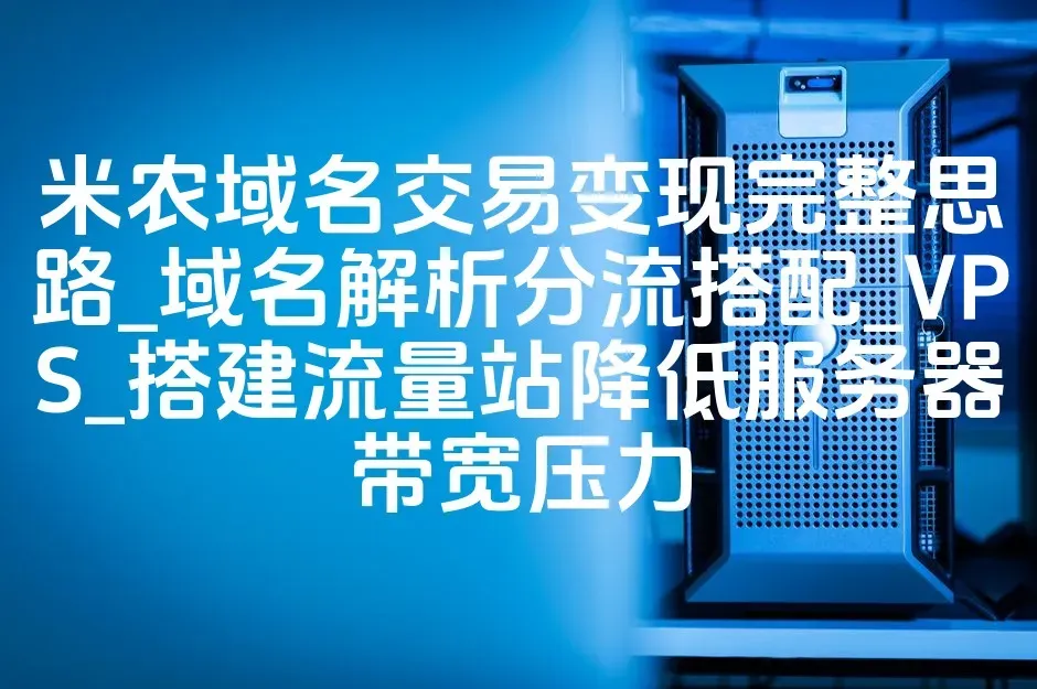 米农域名交易变现完整思路_域名解析分流搭配_VPS_搭建流量站降低服务器带宽压力