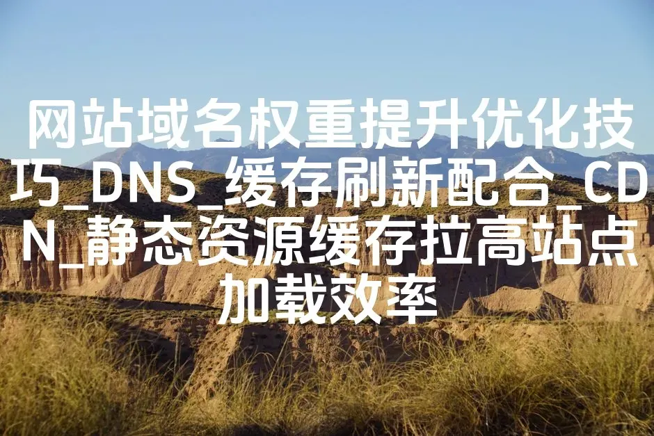 网站域名权重提升优化技巧_DNS_缓存刷新配合_CDN_静态资源缓存拉高站点加载效率