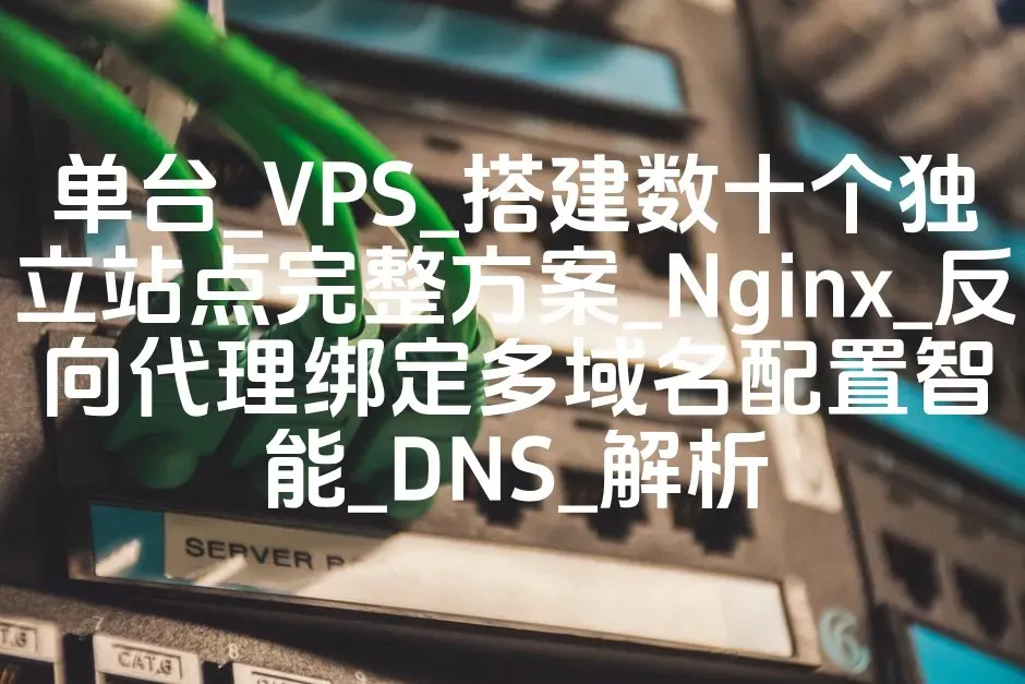 单台_VPS_搭建数十个独立站点完整方案_Nginx_反向代理绑定多域名配置智能_DNS_解析