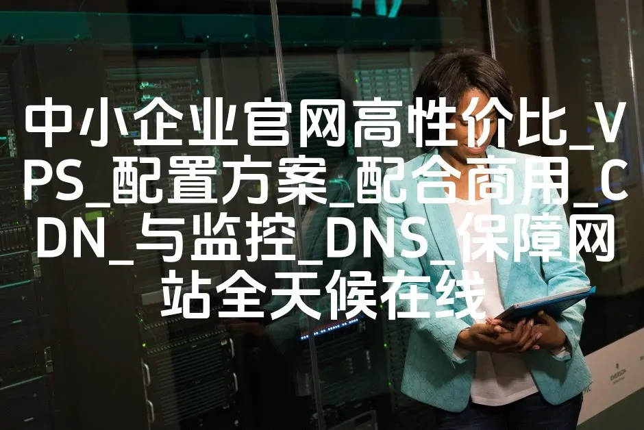 中小企业官网高性价比_VPS_配置方案_配合商用_CDN_与监控_DNS_保障网站全天候在线