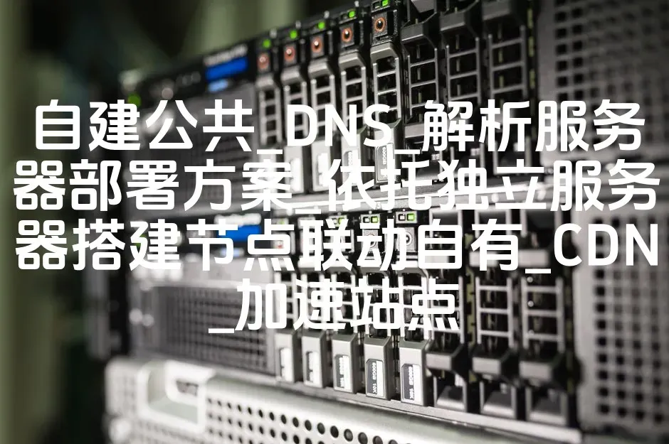 自建公共_DNS_解析服务器部署方案_依托独立服务器搭建节点联动自有_CDN_加速站点