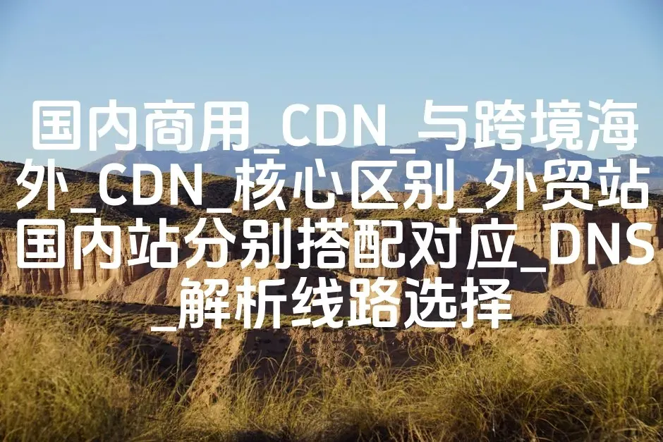 国内商用_CDN_与跨境海外_CDN_核心区别_外贸站国内站分别搭配对应_DNS_解析线路选择