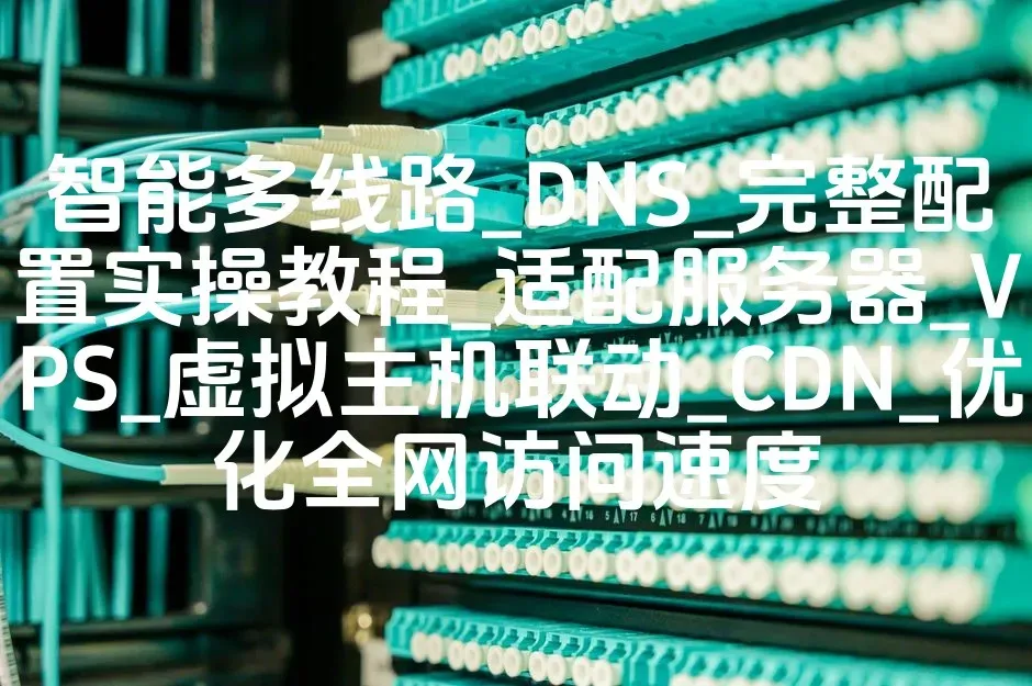 智能多线路_DNS_完整配置实操教程_适配服务器_VPS_虚拟主机联动_CDN_优化全网访问速度