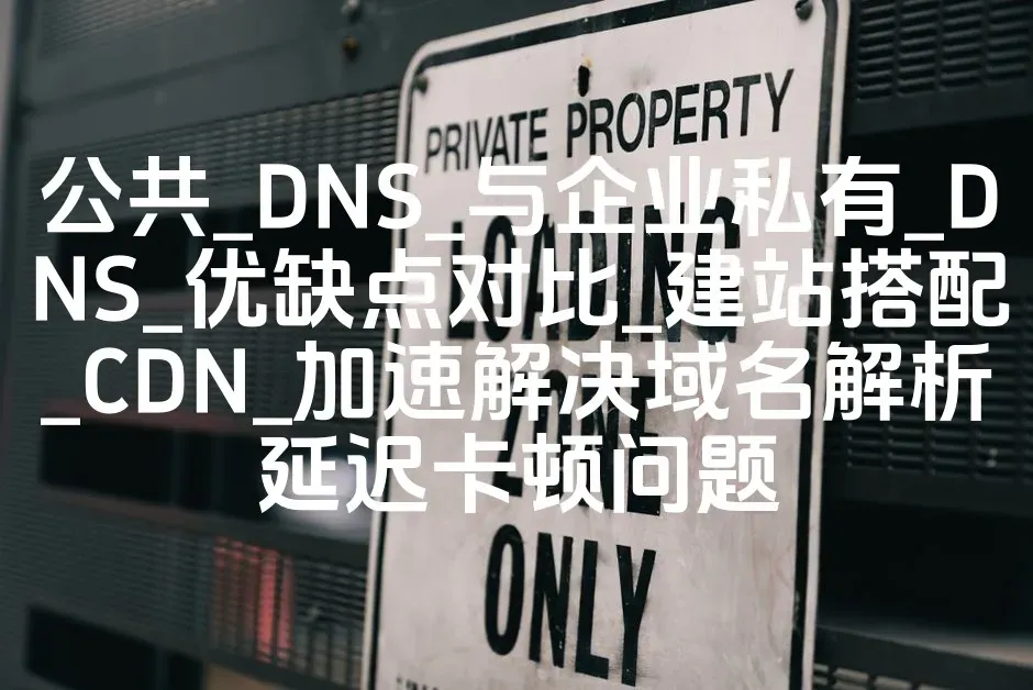 公共_DNS_与企业私有_DNS_优缺点对比_建站搭配_CDN_加速解决域名解析延迟卡顿问题