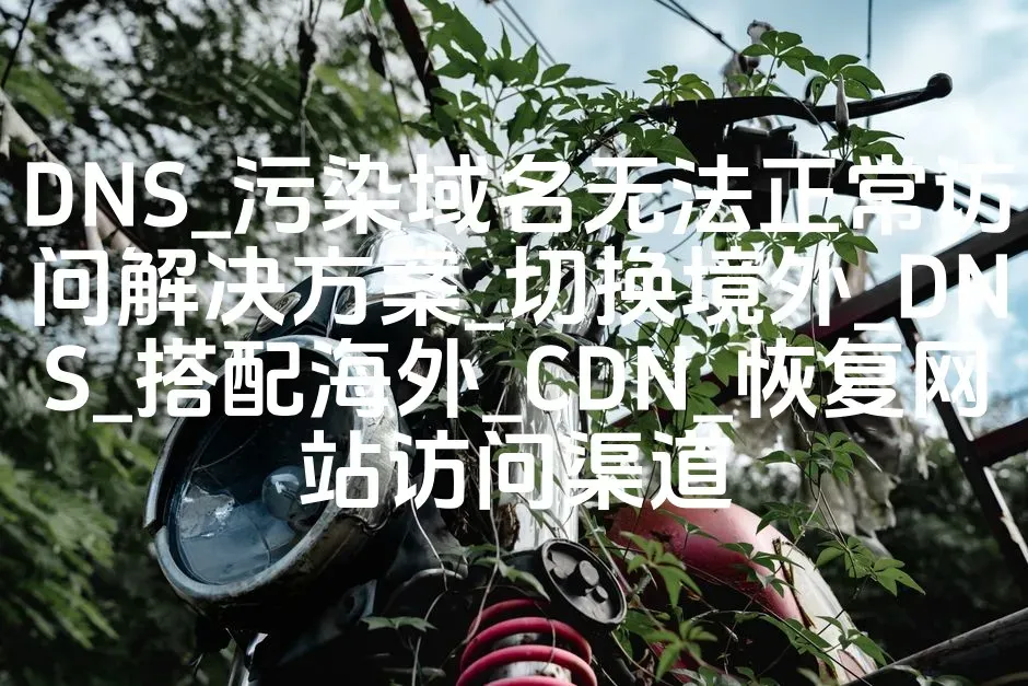DNS_污染域名无法正常访问解决方案_切换境外_DNS_搭配海外_CDN_恢复网站访问渠道