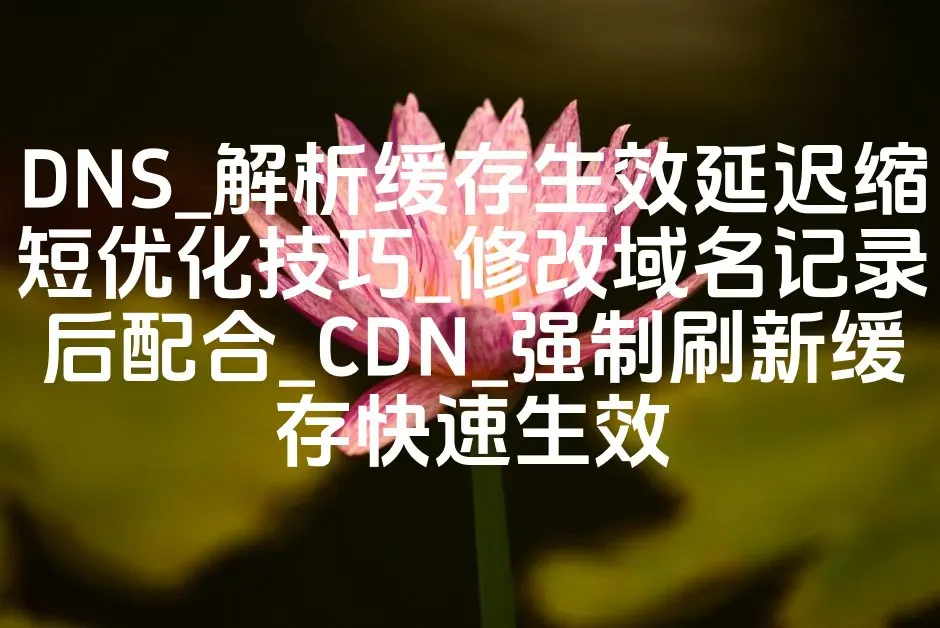 DNS_解析缓存生效延迟缩短优化技巧_修改域名记录后配合_CDN_强制刷新缓存快速生效