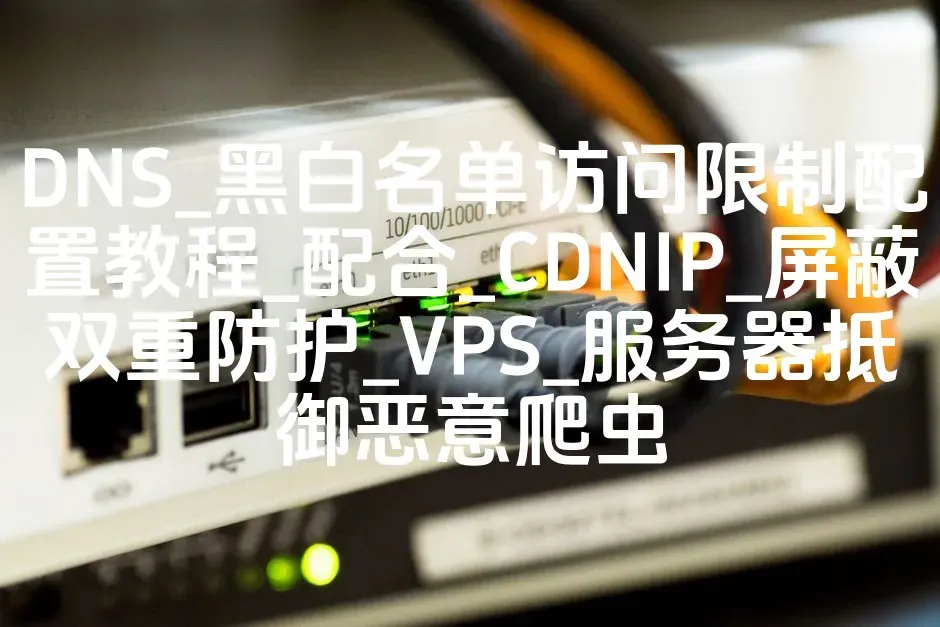 DNS_黑白名单访问限制配置教程_配合_CDNIP_屏蔽双重防护_VPS_服务器抵御恶意爬虫