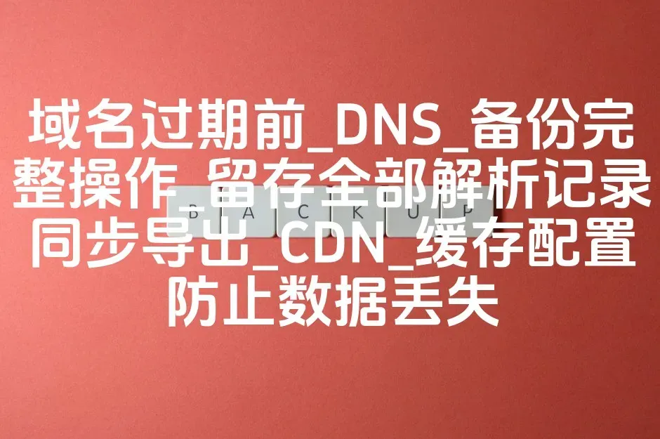 域名过期前_DNS_备份完整操作_留存全部解析记录同步导出_CDN_缓存配置防止数据丢失